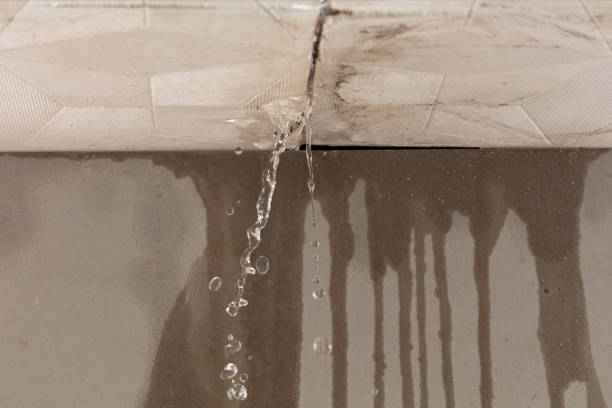 Professional Structural Drying technician working in Sandusky, MI